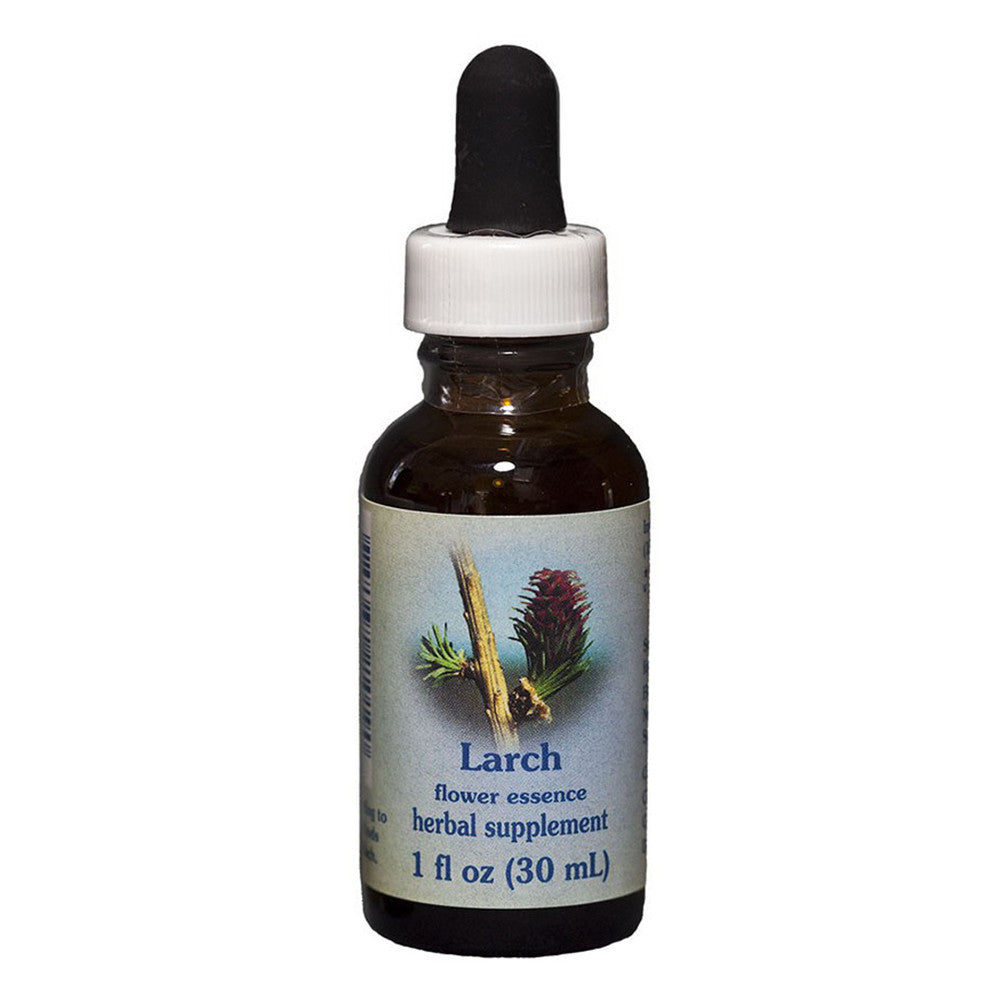 Flower Essence Larch Slipper Herbal Supplement Dropper, 1 Oz